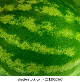 Watermelon Skin Pattern As Design Background