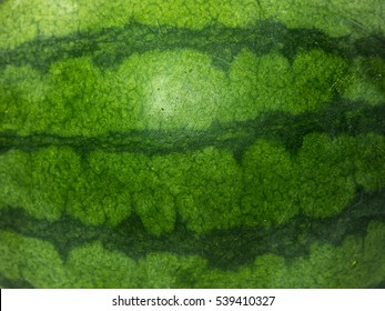 Watermelon Skin Texture Background