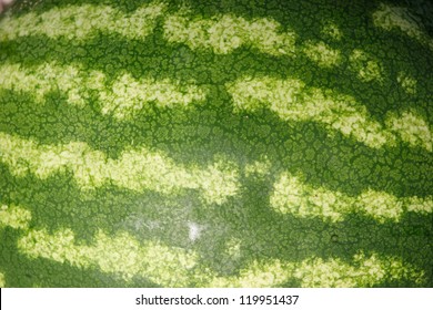 A Watermelon Texture Detail - Closeup