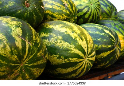 Watermelon or water melon fruit in supermarket. Summer watermelon shelf on open big food market. Water melon pile display on produce shop. Many green watermelon close up in supermarket as background.