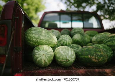 Watermelons In A Truck Bed