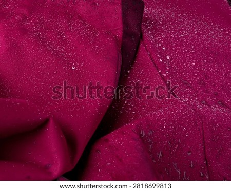 Waterproof fabric texture with rain drops closeup. Water resistant deep pink cloth, macro droplets on textile, wet material surface, water proof jacket macro pattern with selective focus