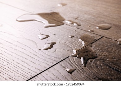 Waterproof Flooring - Spilled Water Drops On Wooden Laminate Floor