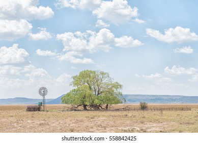 A Water-pumping Windmill, Dam, Kraal And Willow Tree Near Jagersfontein, A Diamond Mining Town In The Free State Province Of South Africa