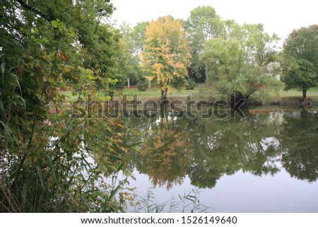 Waterreflects along the River Nahe in Bad Kreuznach, seen Summer 19 