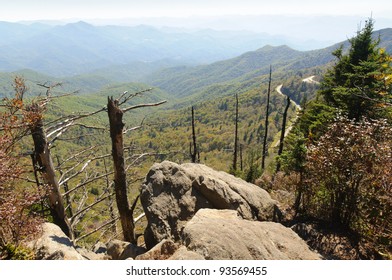 Waterrock Knob Overlook, Dead Trees And Rocks