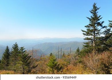 Waterrock Knob Overlook And Trees