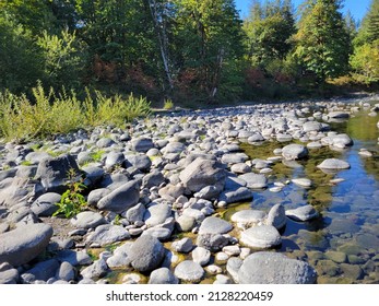 The Waters Of Willamette National Forest