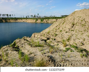 Waterscape with a forest