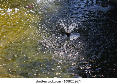 Waterscape Of A Fountain Inside A Koi Pond