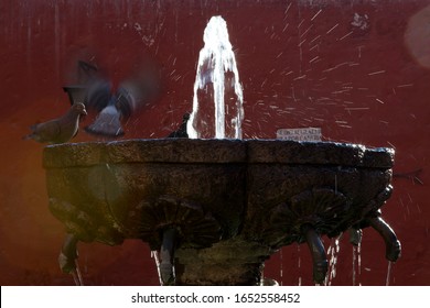 Waterspout Fountain With A Pigeon Flying Away