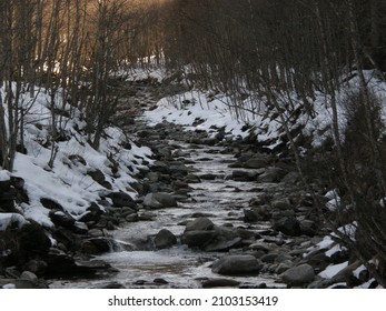Waterstream in a snowy forest