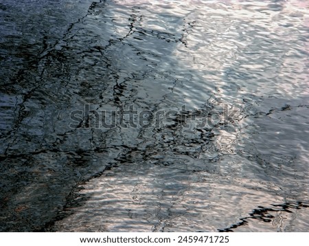the watersurface and treebranches in reflexion