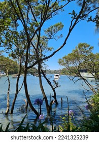 Waterview with a boat, trees and blue sky