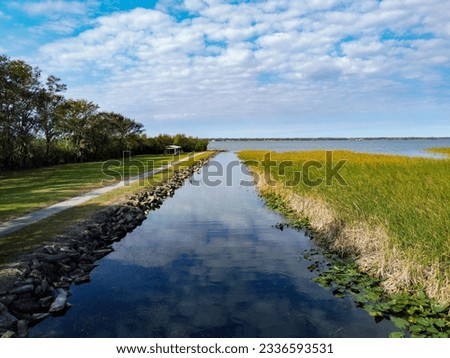 A waterway leads to Lake Parker in Lakeland Florida with a tree line and shadows on one side and water foliage on the other side