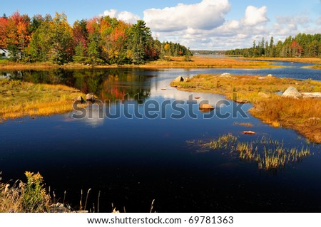  Waterway winding through a wetland in New England. Near Bar Harbor, Maine, Beautiful autumn foliage casts a brilliant reflection in the water.