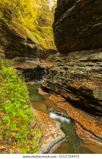 Watkins Glen State Park, located in Watkins Glen, in\
the Finger Lakes Region of New York State, is a popular travel\
destination in the autumn season as the leaves change from green to\
yellow and red.