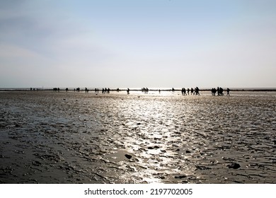 Watt hike on the North Sea coast in Norddeich - Shutterstock ID 2197702005
