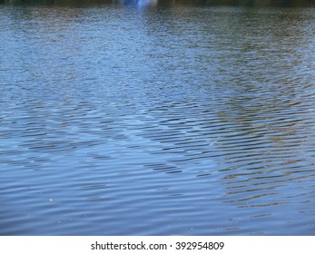 Watter