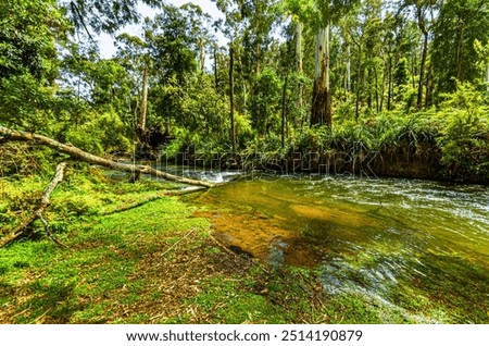 Watts River Running High Fast And Clear