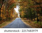 Wausau Ave in October with colorful autumn trees in Wausau, Wisconsin, horizontal