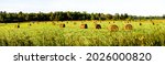 Wausau, Wisconsin farm field with round hay bales in August, panorama