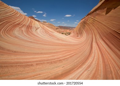 The Wave