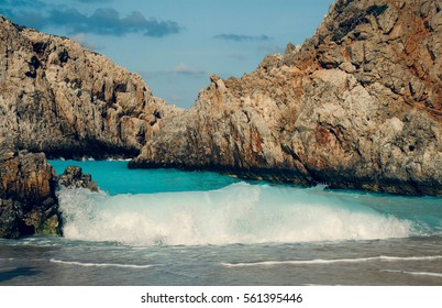 Wave.