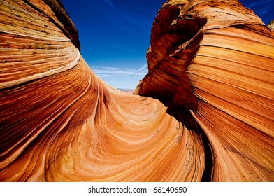 The Wave