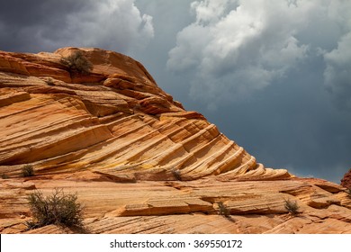 The Wave - Arizona