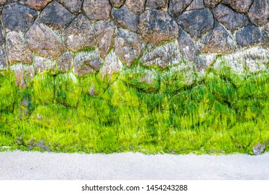 A Wave Barrier From The Sea, Natural Stone Wall With Lemongrass Is Located On The Beautiful White Sand Beach Of Hua Hin, Thailand.