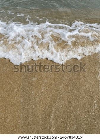 The wave at the beach