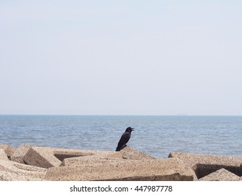 Wave block and the crow