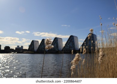 The Wave By The Harbor Of Vejle 