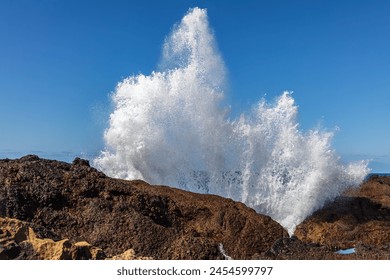 Wave crashing against rocks at Point Lobos Nature Preserve, Monterey, California. Spray thrown high into the air. Pacific ocean and clear blue sky in the background.
 - Powered by Shutterstock