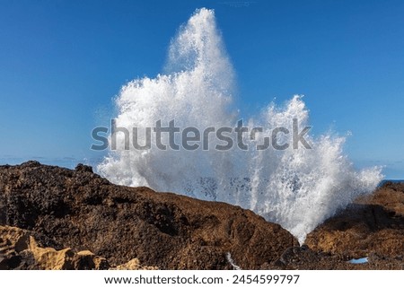 Similar – Image, Stock Photo Coast with rocks and sea in sunset