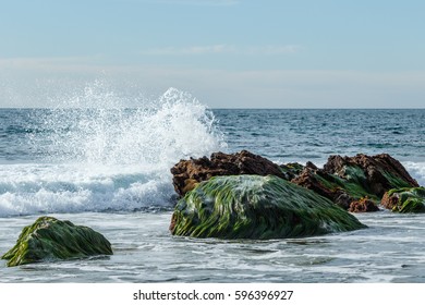 Wave At Low Tide Breaking On Rocks Covered With Eelgrass In Laguna Beach, California
