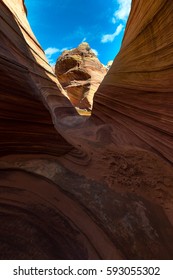 The Wave In Paria Canyon-Vermilion Cliffs Wilderness, Massive Sandstone Structures Stretched Like Taffy, And Cinnamon Color Strata Domes