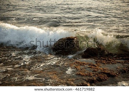 Similar – waves and splashes of sea surf and stones on the seashore in Egypt Dahab South Sinai