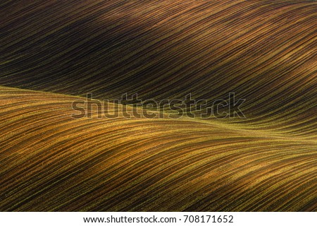 Waved Cultivated Row Field With Beautiful Light-Shadows.  Rustic Autumn Landscape In Brown Tones. Striped Undulating Abstract Landscape With Plowed Field.Natural Rows Background In Brown Tones