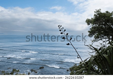 Wavelets Rushing to Shore at the Beach
