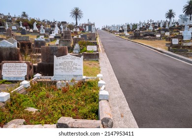 Waverley Cemetery Heritagelisted Cemetery On Top Stock Photo 2147953411 ...