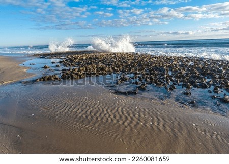 Waves from the Atlantic Ocean crash on the exposed coral rocks during low tide in Palm Beach Florida. 