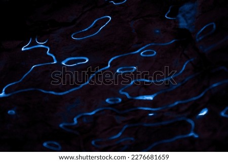 Waves of blue light reflections on dark background. Abstract curves lines of fluorescent light on ice surface. Dark background with organic, liquid lights. Techno style texture.