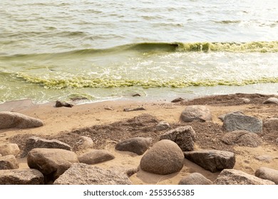 Waves crash against rocks at beach, green flowering water. Coastline and nature landscape. Calm and peaceful atmosphere - Powered by Shutterstock