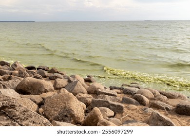 Waves crash against rocks at beach, green flowering water. Coastline and nature landscape. Calm and peaceful atmosphere - Powered by Shutterstock