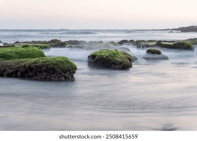 Waves crash against rocks covered in moss and seaweed on the shore. The image was taken using a slow shutter speed with a silky water effect. beautiful nature concept. - Powered by Shutterstock