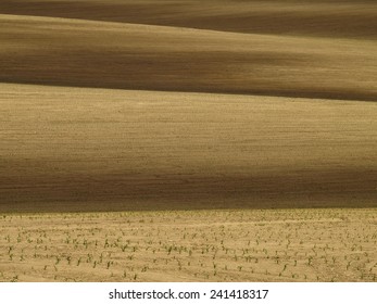 Waves of the earth