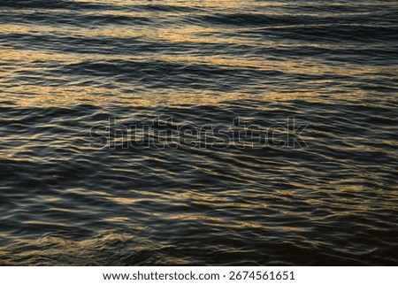 Waves of the Hudson River