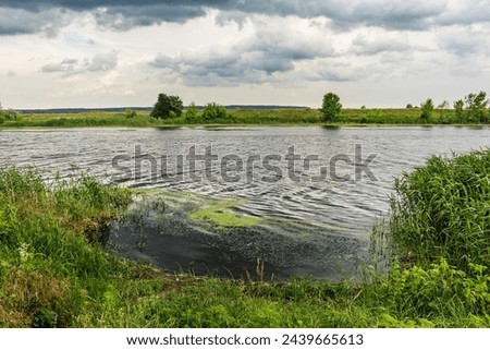 Waves on the Seversky Donets river in Ukraine. Grass and reeds on the banks. Non-urban landscape of summer nature near the river Siverskyi Donets
